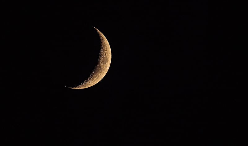 Crescent Devotion