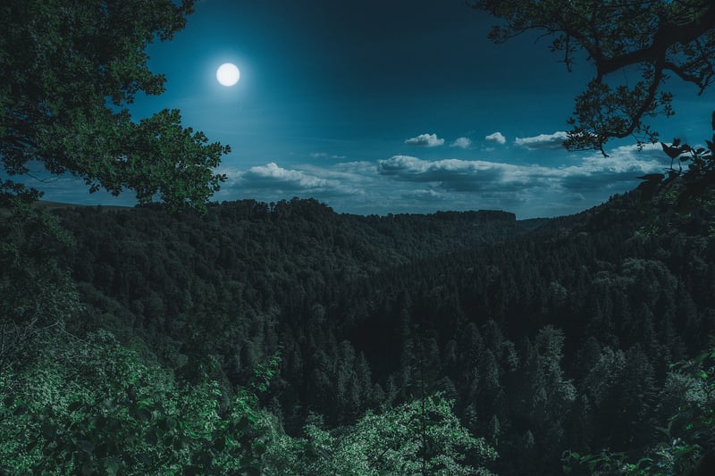 Romantic moonlit beach